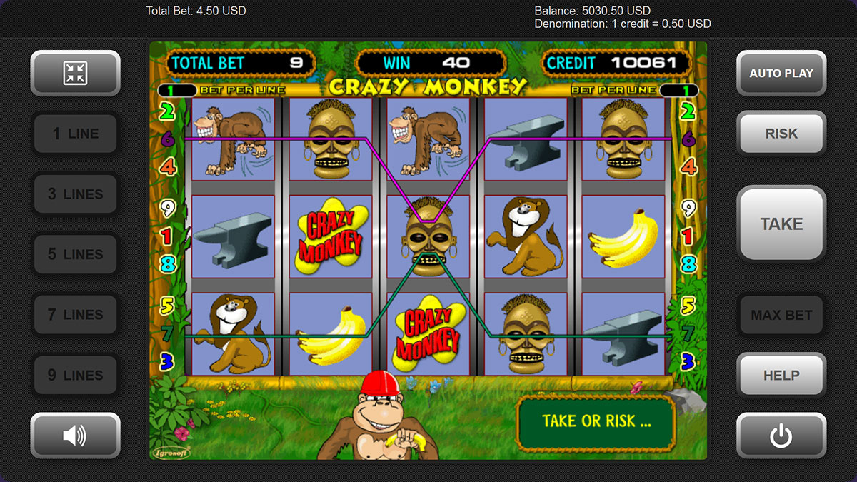 Crazy Monkey slot machine.
